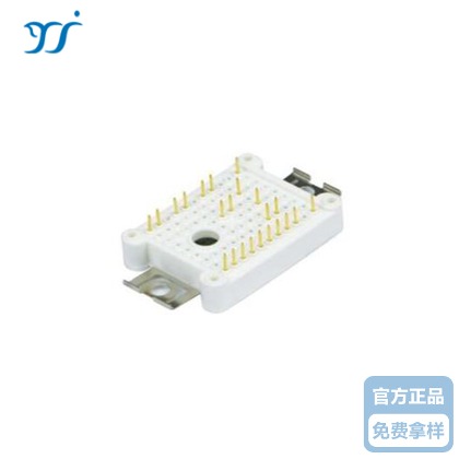 MG10P12P2  IGBT